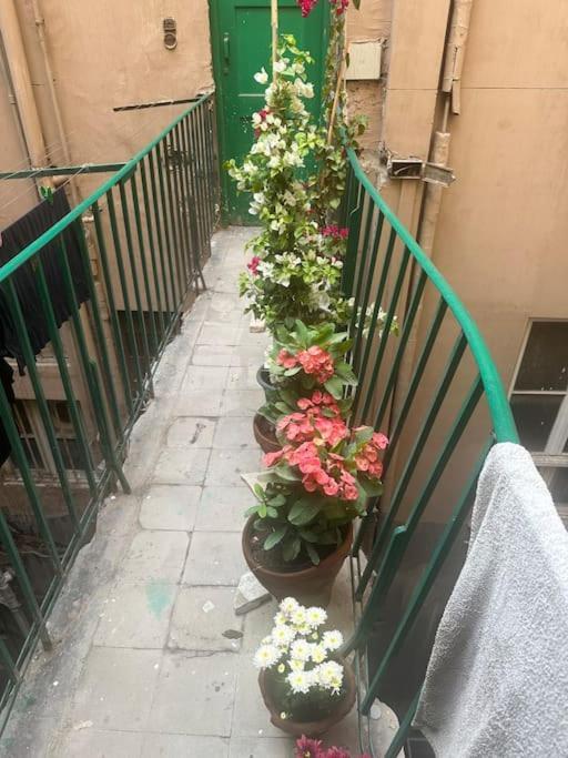 Apartment Immobilia Down Town Amazing Iconic *